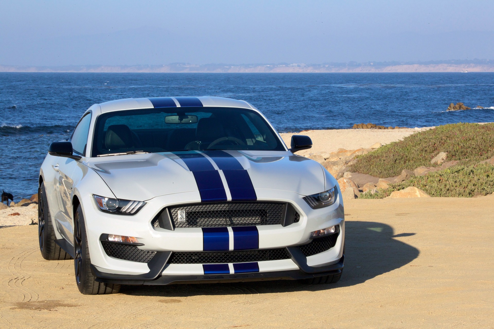 ford mustang gt350 #10