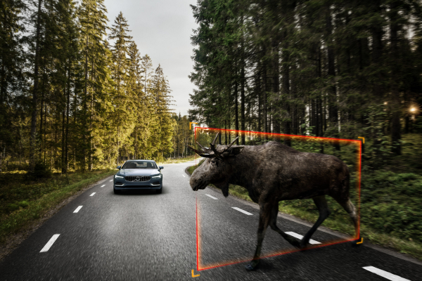Exterior Large Animal Detection Volvo S90 © Zhejiang Geely Holding Group Co., Ltd