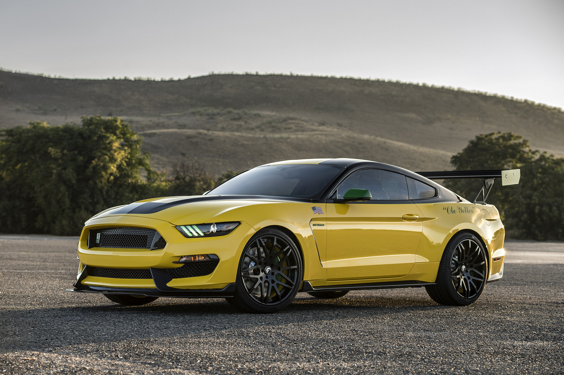 Ford Ole Yeller Mustang © Ford Motor Company