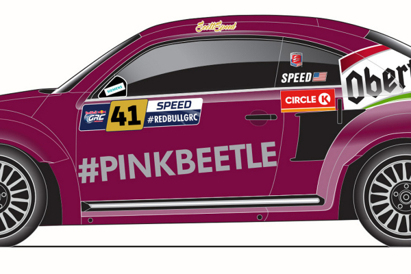 No. 41 #PinkBeetle GRC © Volkswagen AG